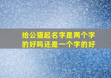 给公猫起名字是两个字的好吗还是一个字的好