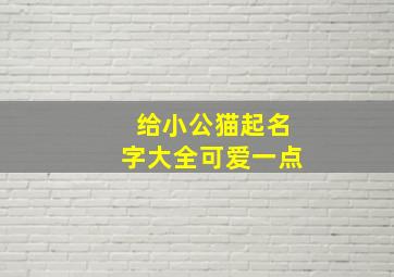 给小公猫起名字大全可爱一点