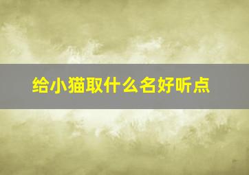 给小猫取什么名好听点