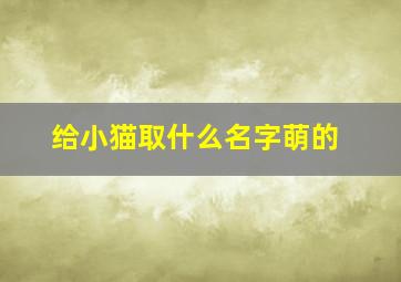 给小猫取什么名字萌的