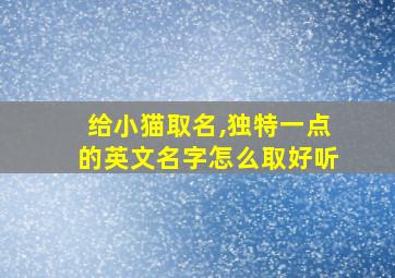 给小猫取名,独特一点的英文名字怎么取好听