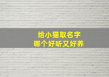 给小猫取名字哪个好听又好养