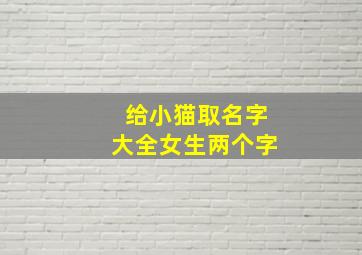 给小猫取名字大全女生两个字