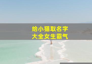 给小猫取名字大全女生霸气