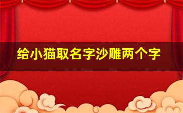 给小猫取名字沙雕两个字