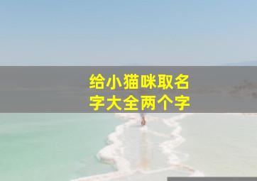 给小猫咪取名字大全两个字