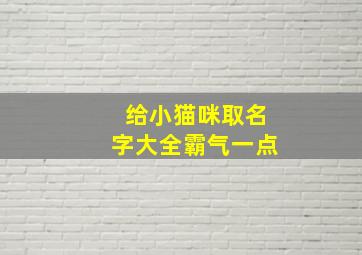 给小猫咪取名字大全霸气一点