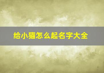 给小猫怎么起名字大全