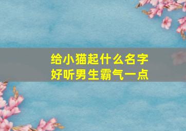 给小猫起什么名字好听男生霸气一点