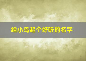 给小鸟起个好听的名字