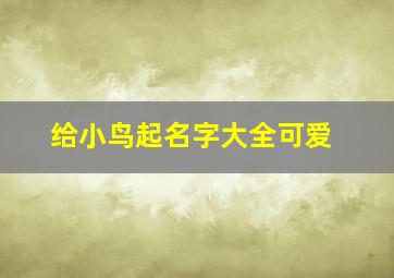 给小鸟起名字大全可爱