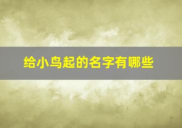 给小鸟起的名字有哪些