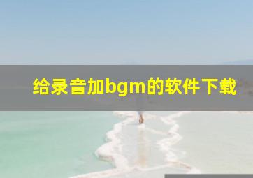 给录音加bgm的软件下载