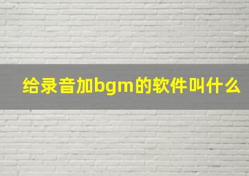 给录音加bgm的软件叫什么