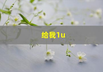 给我1u