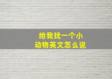 给我找一个小动物英文怎么说