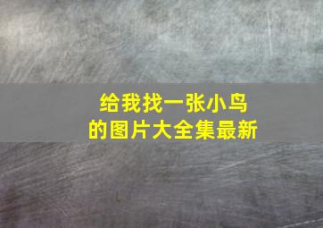 给我找一张小鸟的图片大全集最新