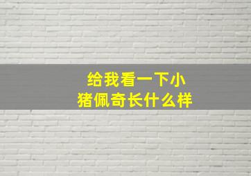 给我看一下小猪佩奇长什么样