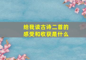 给我读古诗二首的感受和收获是什么