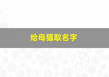 给母猫取名字