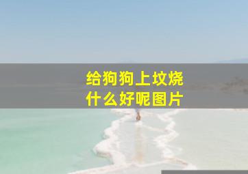 给狗狗上坟烧什么好呢图片