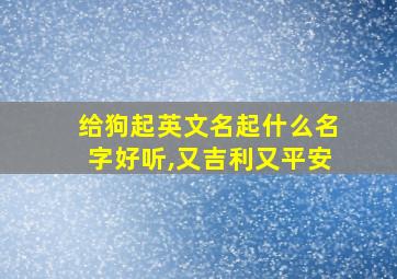 给狗起英文名起什么名字好听,又吉利又平安