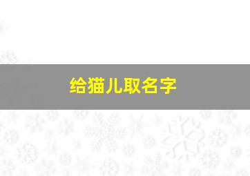 给猫儿取名字