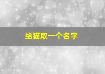 给猫取一个名字