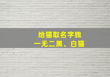 给猫取名字独一无二黑、白猫