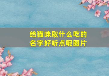 给猫咪取什么吃的名字好听点呢图片