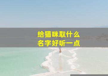 给猫咪取什么名字好听一点