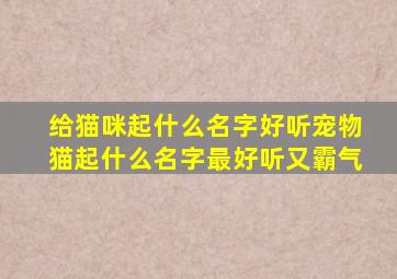 给猫咪起什么名字好听宠物猫起什么名字最好听又霸气