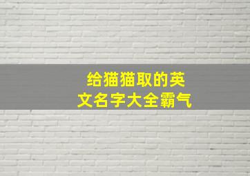 给猫猫取的英文名字大全霸气