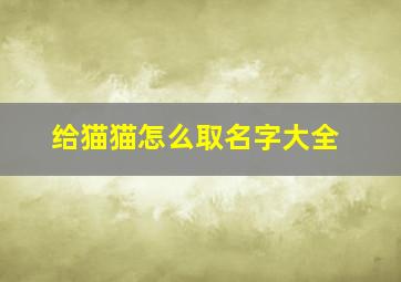 给猫猫怎么取名字大全