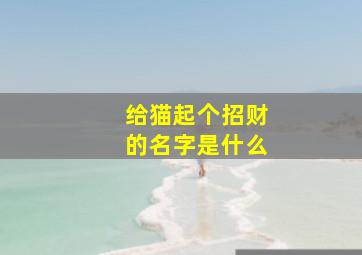 给猫起个招财的名字是什么