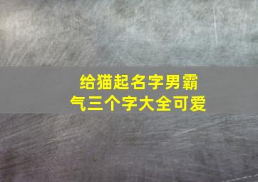 给猫起名字男霸气三个字大全可爱