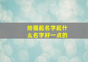 给猫起名字起什么名字好一点的