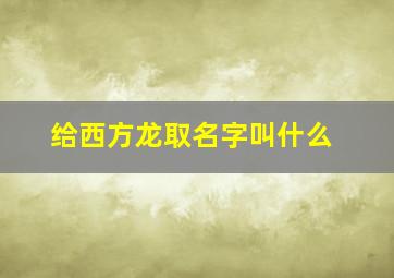 给西方龙取名字叫什么