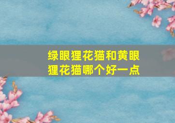 绿眼狸花猫和黄眼狸花猫哪个好一点