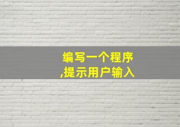 编写一个程序,提示用户输入