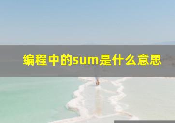 编程中的sum是什么意思