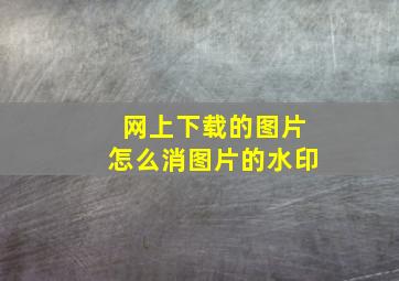 网上下载的图片怎么消图片的水印