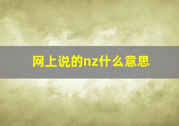 网上说的nz什么意思