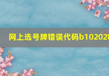 网上选号牌错误代码b102028