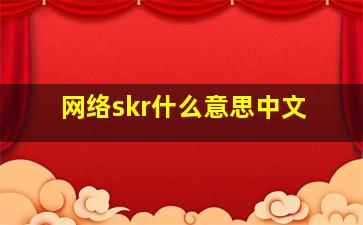 网络skr什么意思中文