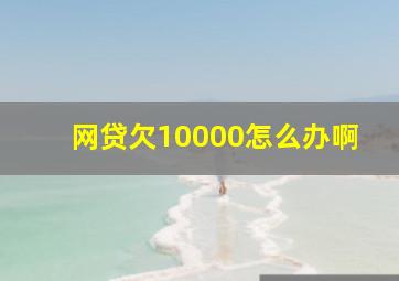 网贷欠10000怎么办啊