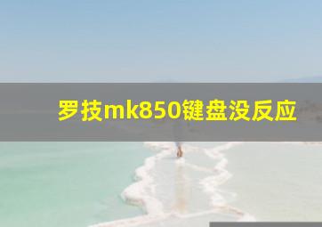 罗技mk850键盘没反应