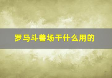 罗马斗兽场干什么用的