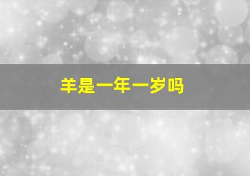 羊是一年一岁吗