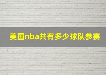 美国nba共有多少球队参赛